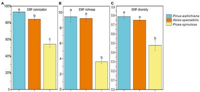 Soil nutrients and plant diversity affect ectomycorrhizal fungal community structure and functional traits across three subalpine coniferous forests